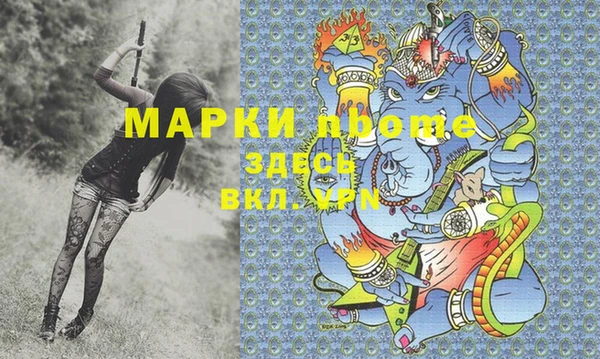стаф Новозыбков