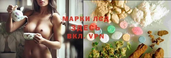 a pvp Новодвинск