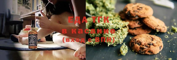 стаф Новозыбков