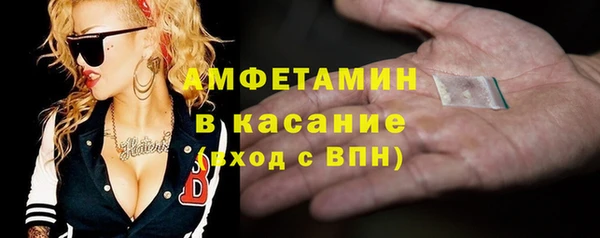 стаф Новозыбков