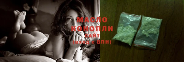 стаф Новозыбков