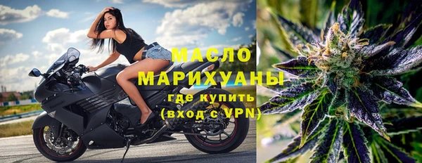 стаф Новозыбков