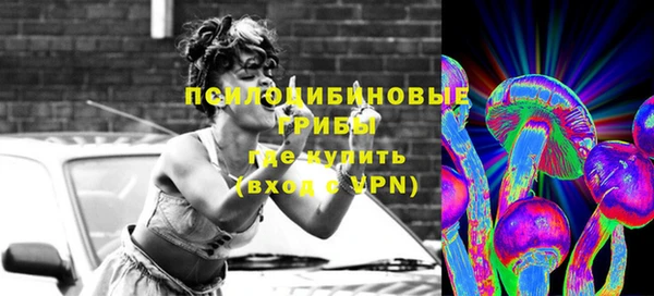 a pvp Новодвинск