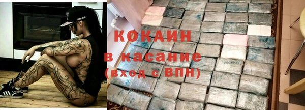 стаф Новозыбков