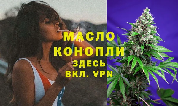 стаф Новозыбков